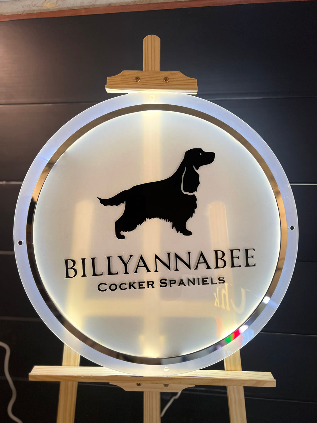 Custom Backlight Signs