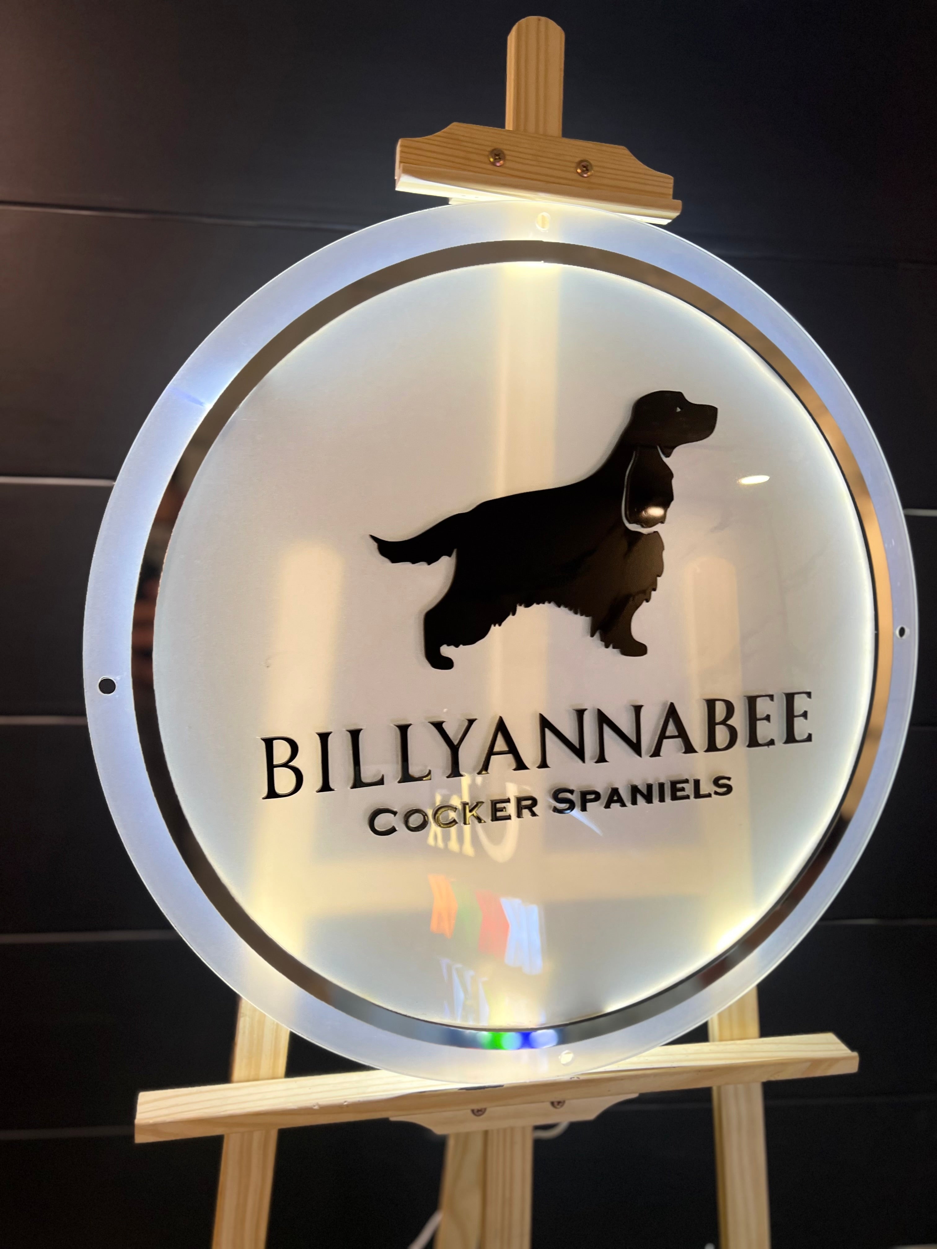 Custom Backlight Signs