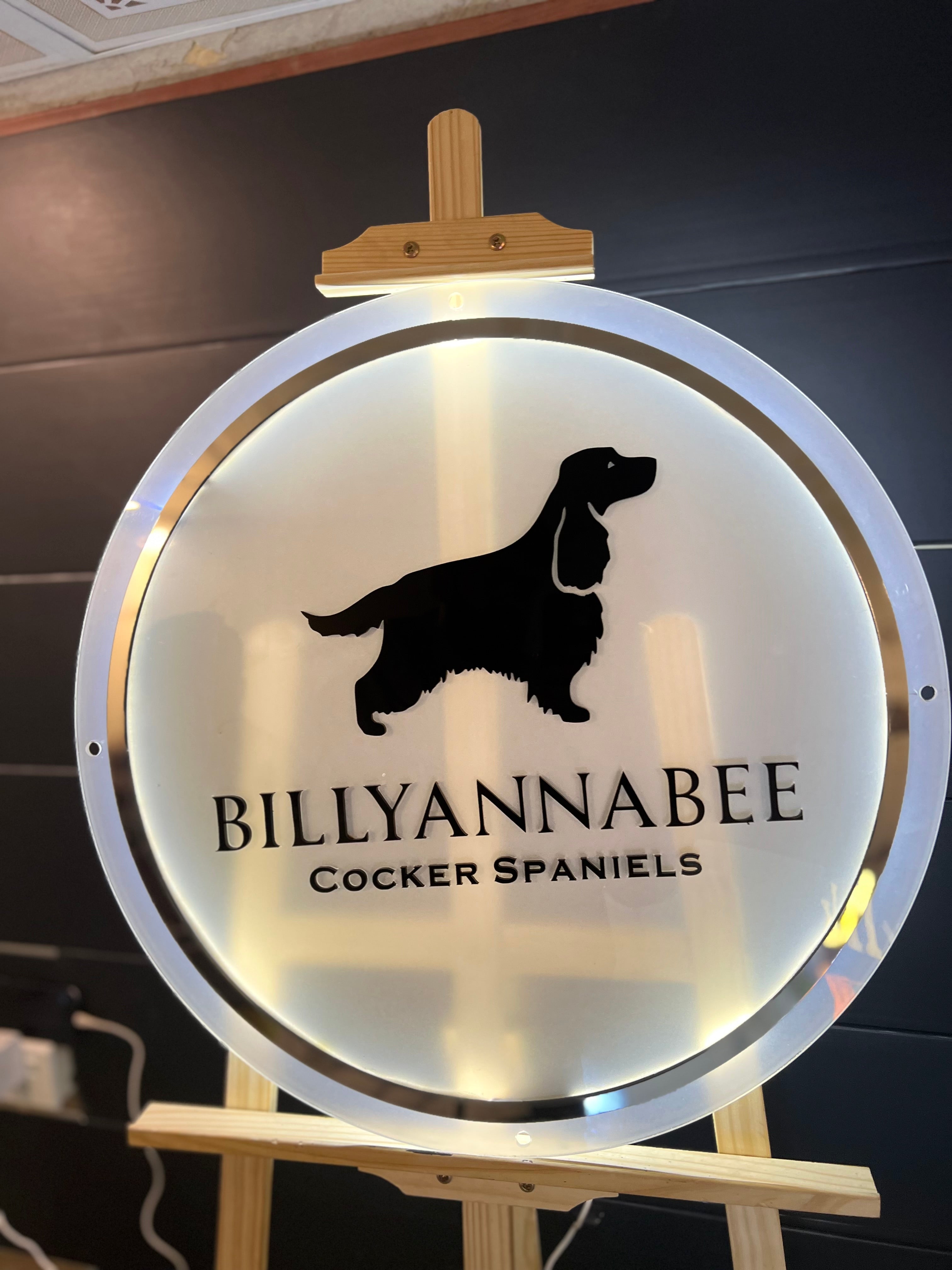 Custom Backlight Signs