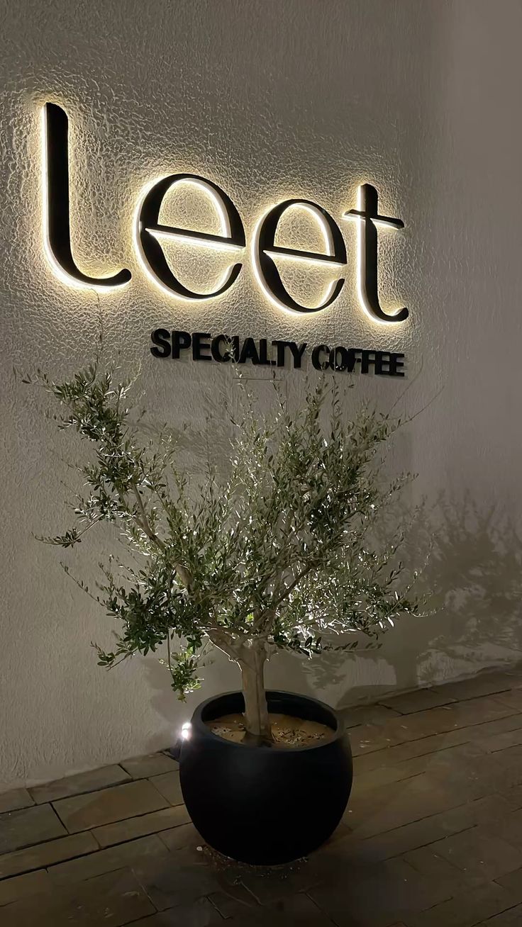 Custom 3D Signs Backlight & Frontlight
