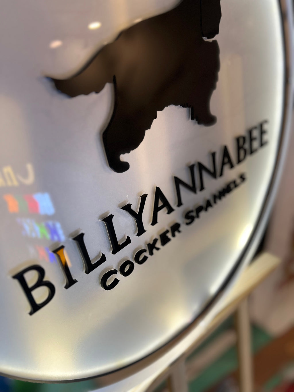 Custom Backlight Signs