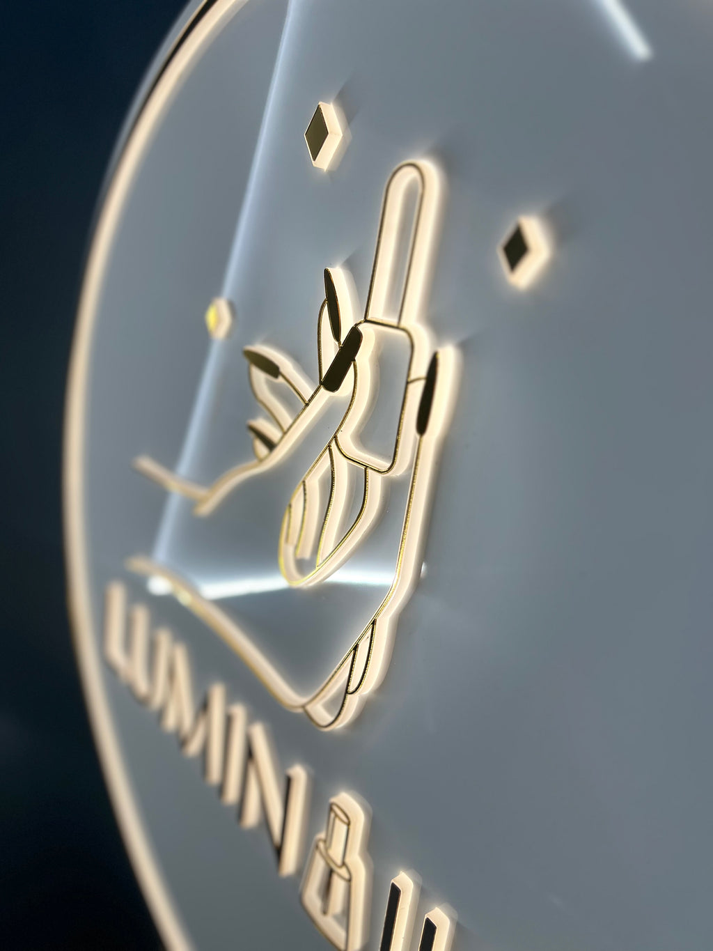 Custom Backlit Signs