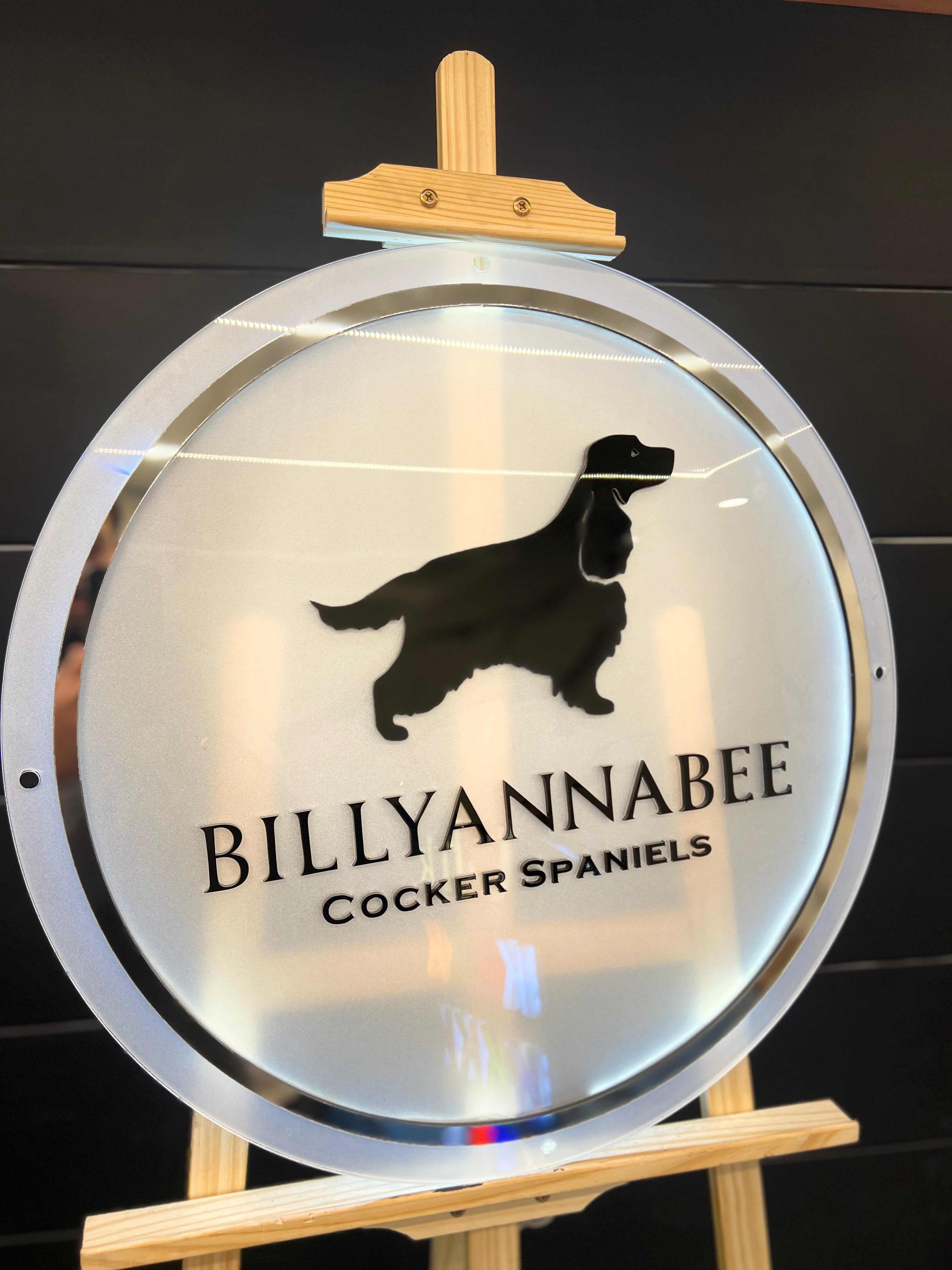 Custom Backlight Signs