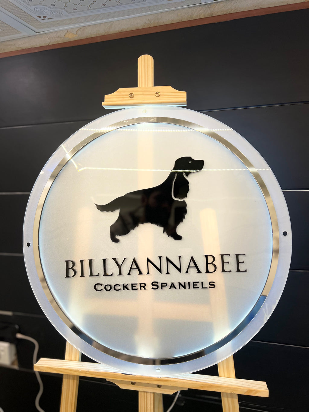 Custom Backlight Signs
